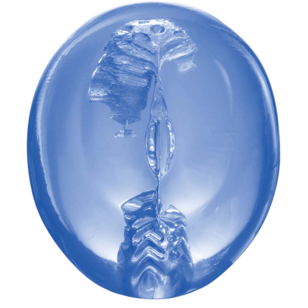 Pocket Jelly Masturbator 3.5