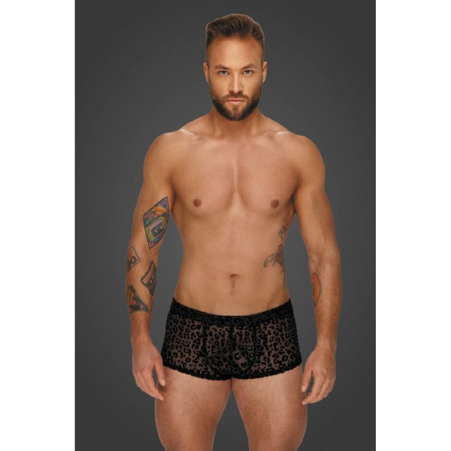 Leopard Flock Short Shorts