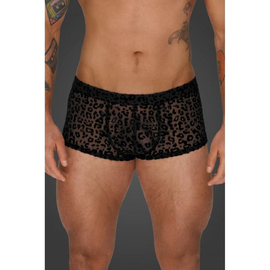 Leopard Flock Short Shorts