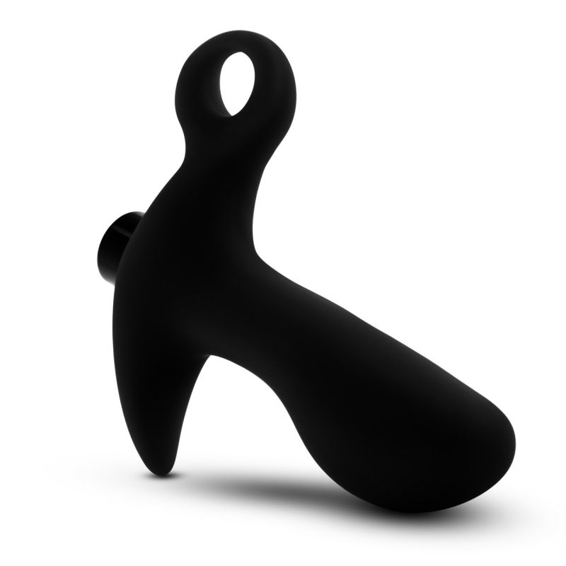 Anal Adventures Platinum Silicone Prostate Massager 01